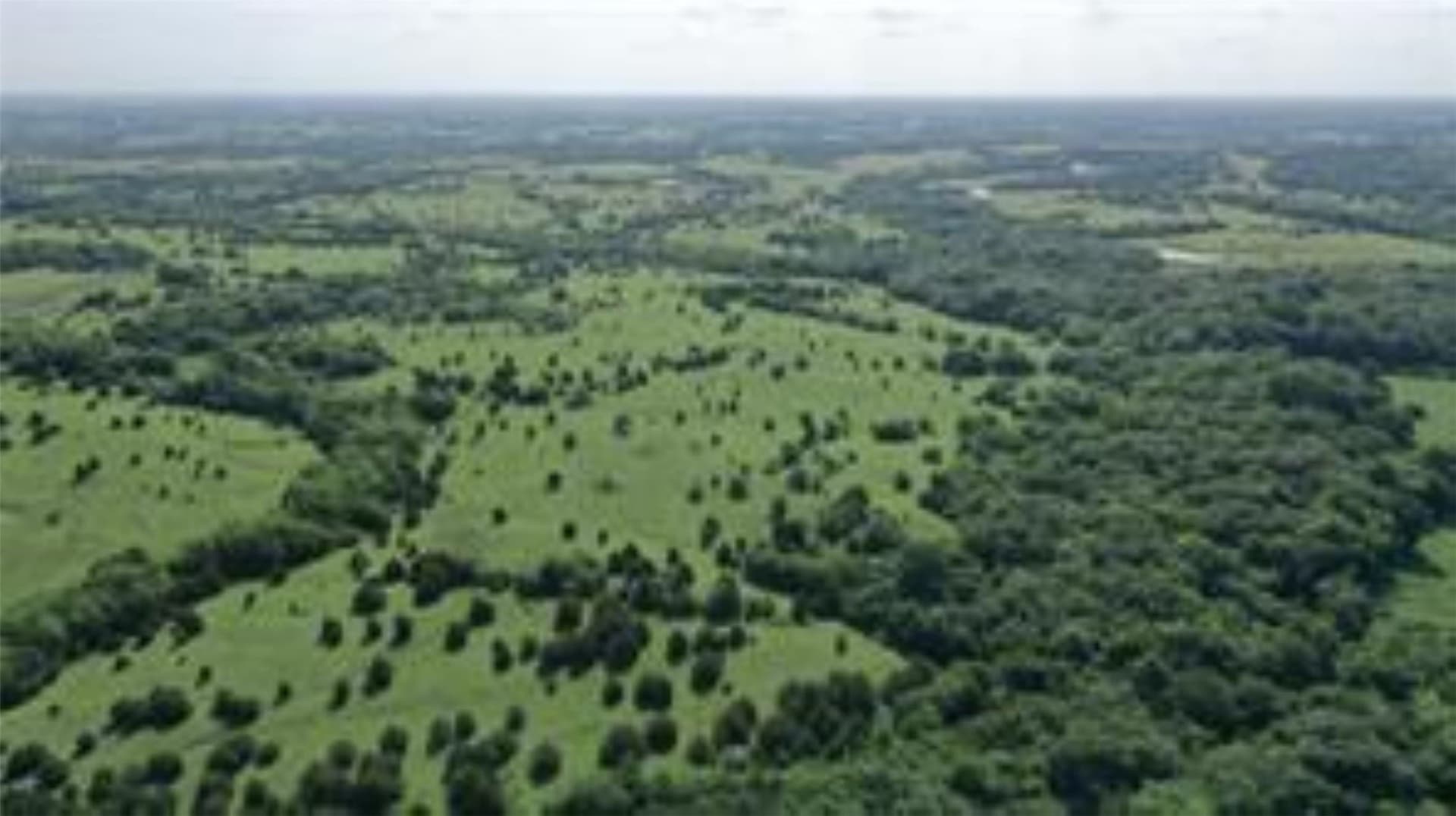 22.49 acres in Collin County - photo 3