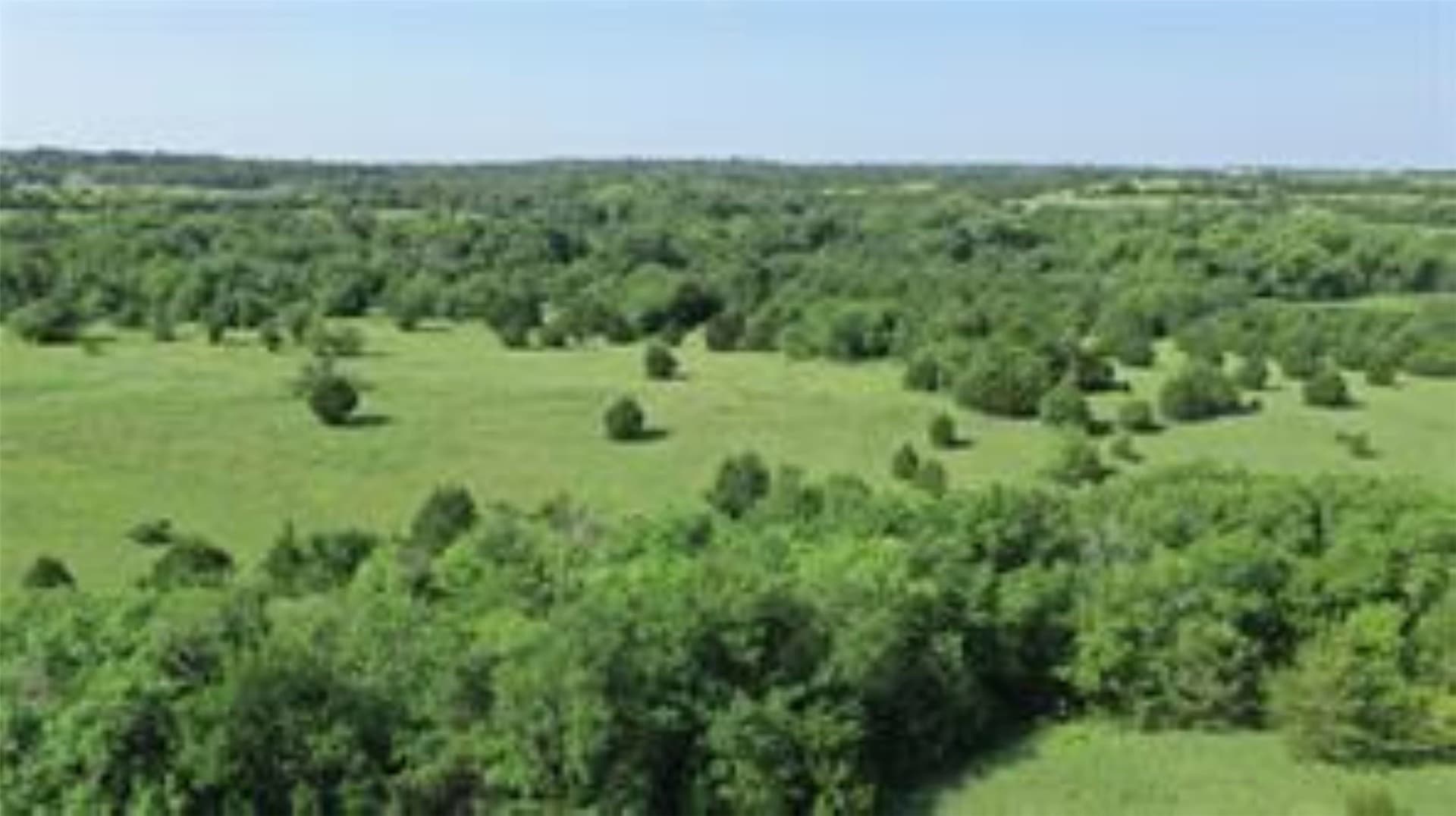 22.49 acres in Collin County - photo 13