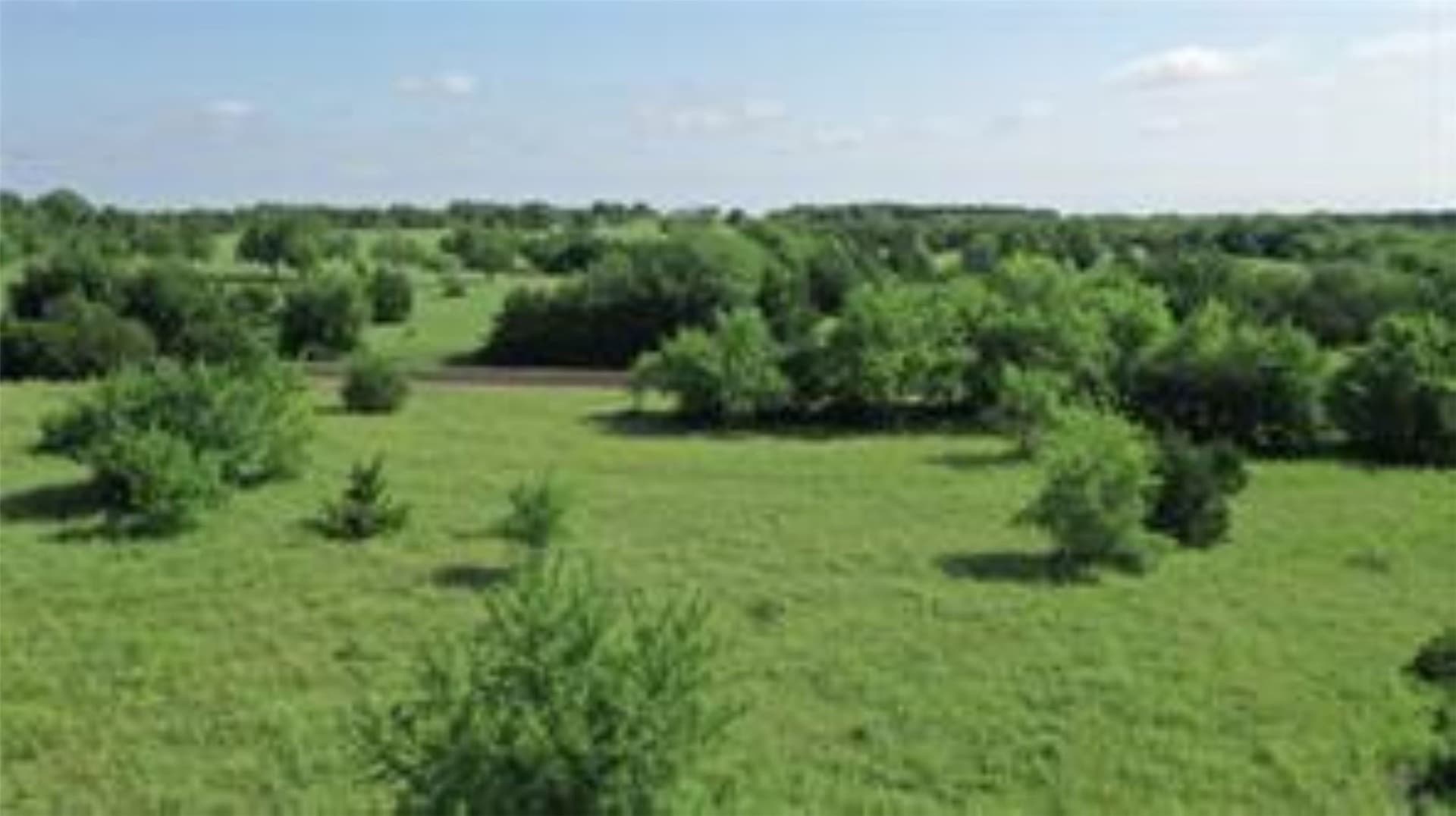 22.49 acres in Collin County - photo 20