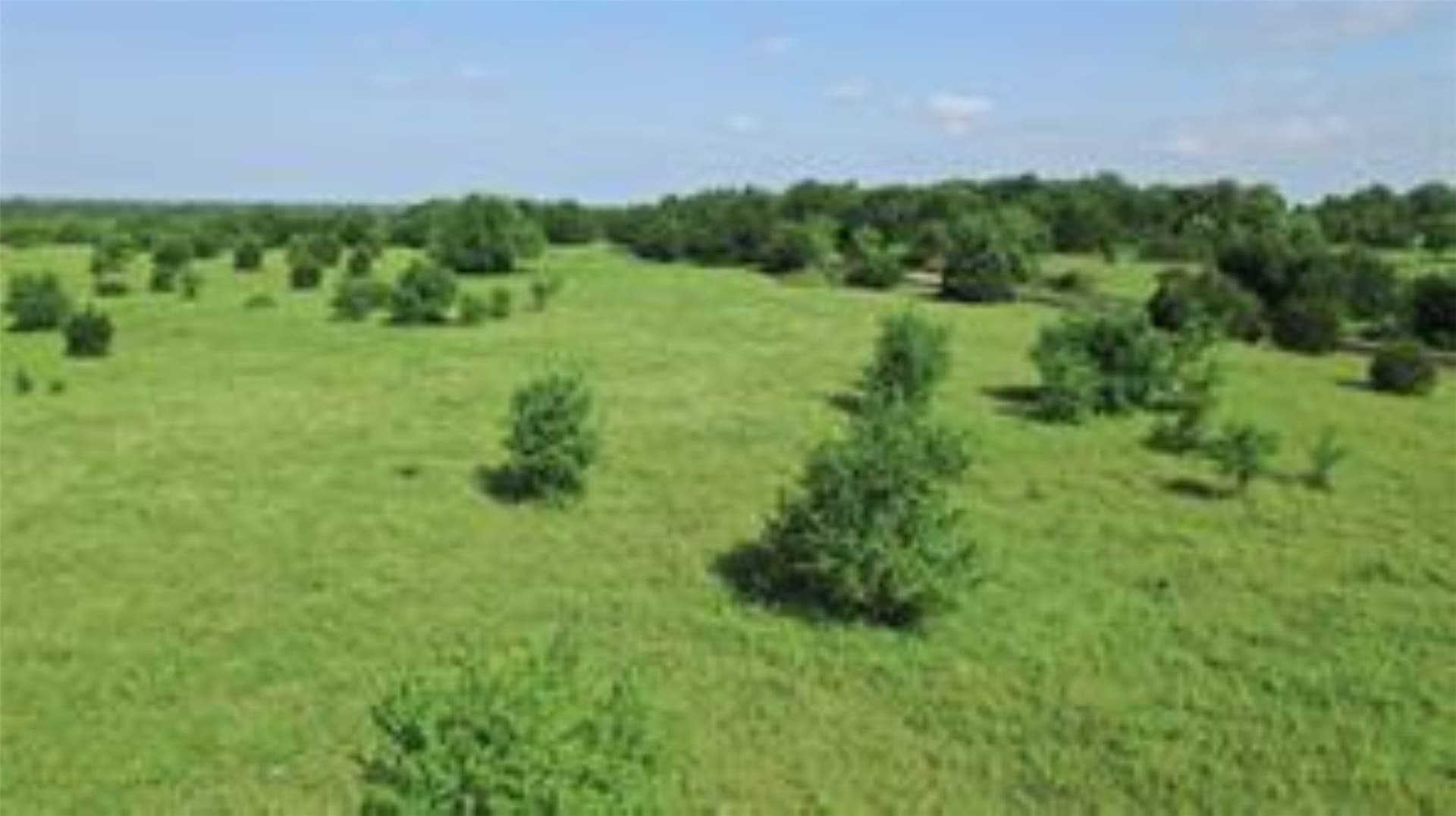 22.49 acres in Collin County - photo 19