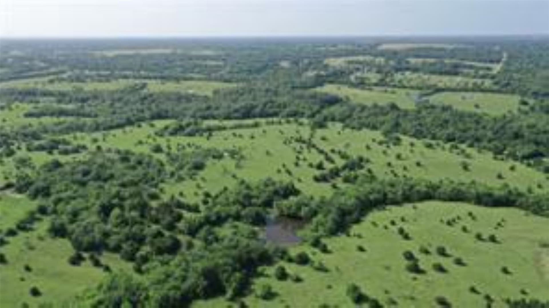22.49 acres in Collin County - photo 6