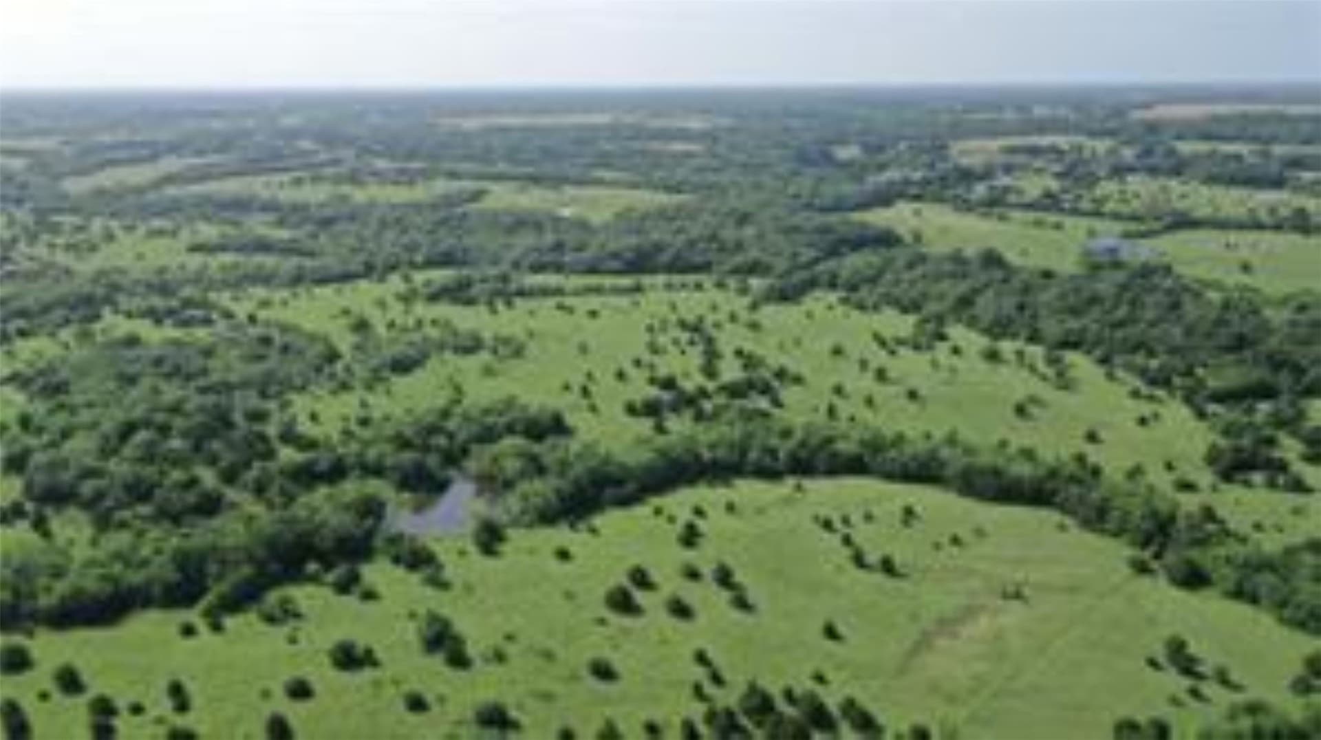 22.49 acres in Collin County - photo 4