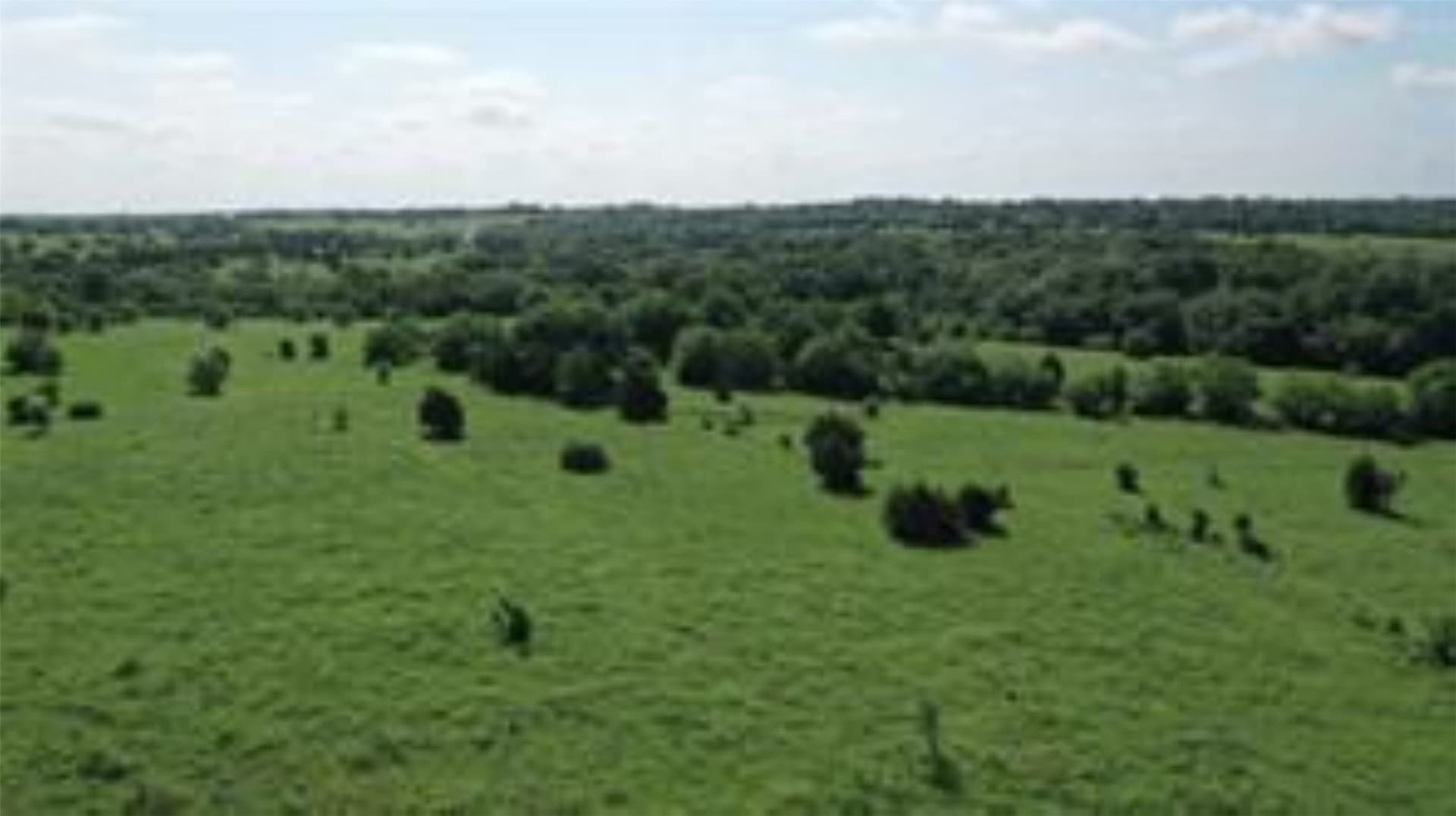 22.49 acres in Collin County - photo 15