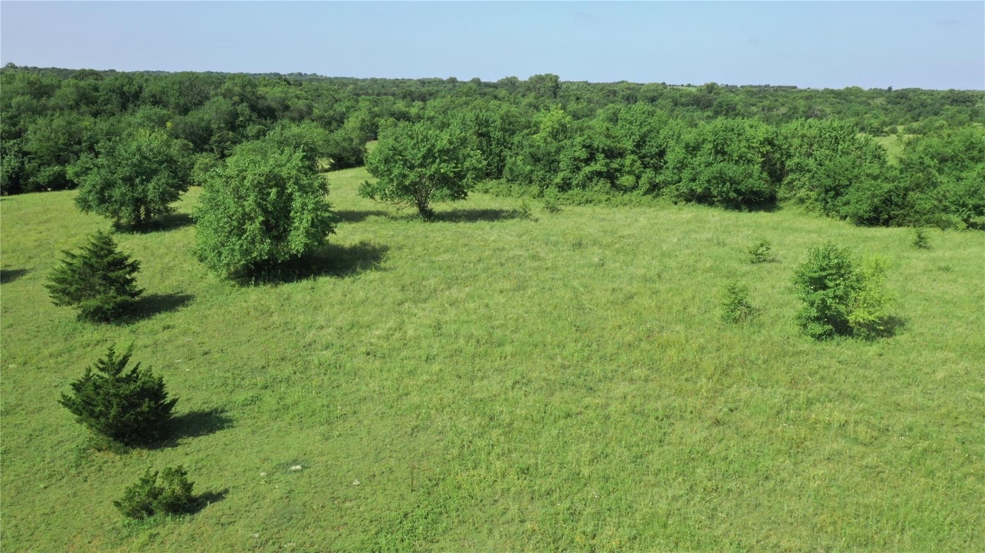 22.49 acres in Collin County - photo 18