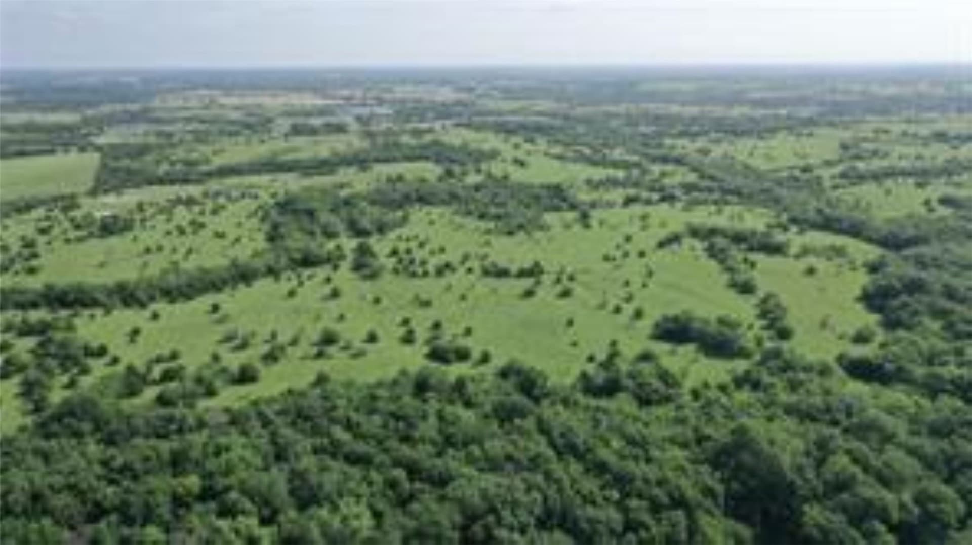 22.49 acres in Collin County - photo 2