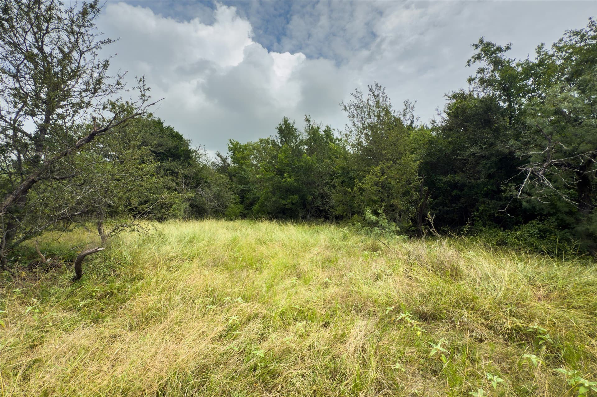 2.82 acres in Falls County - photo 13