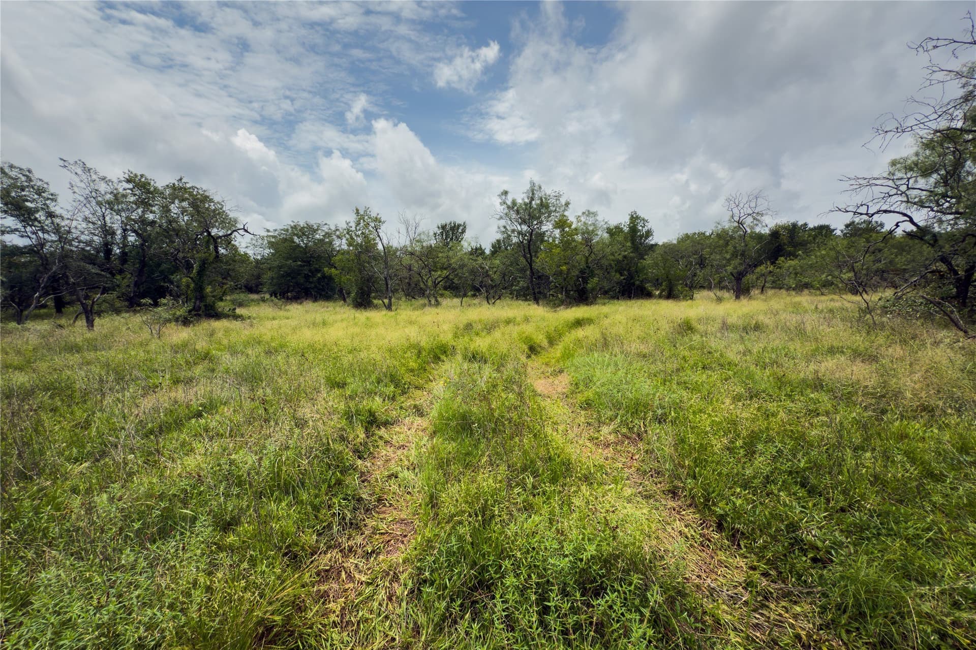 2.82 acres in Falls County - photo 6