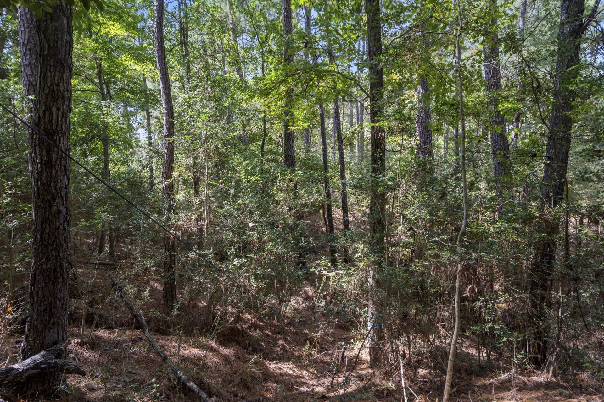 1.63 acres in Montgomery County - photo 20