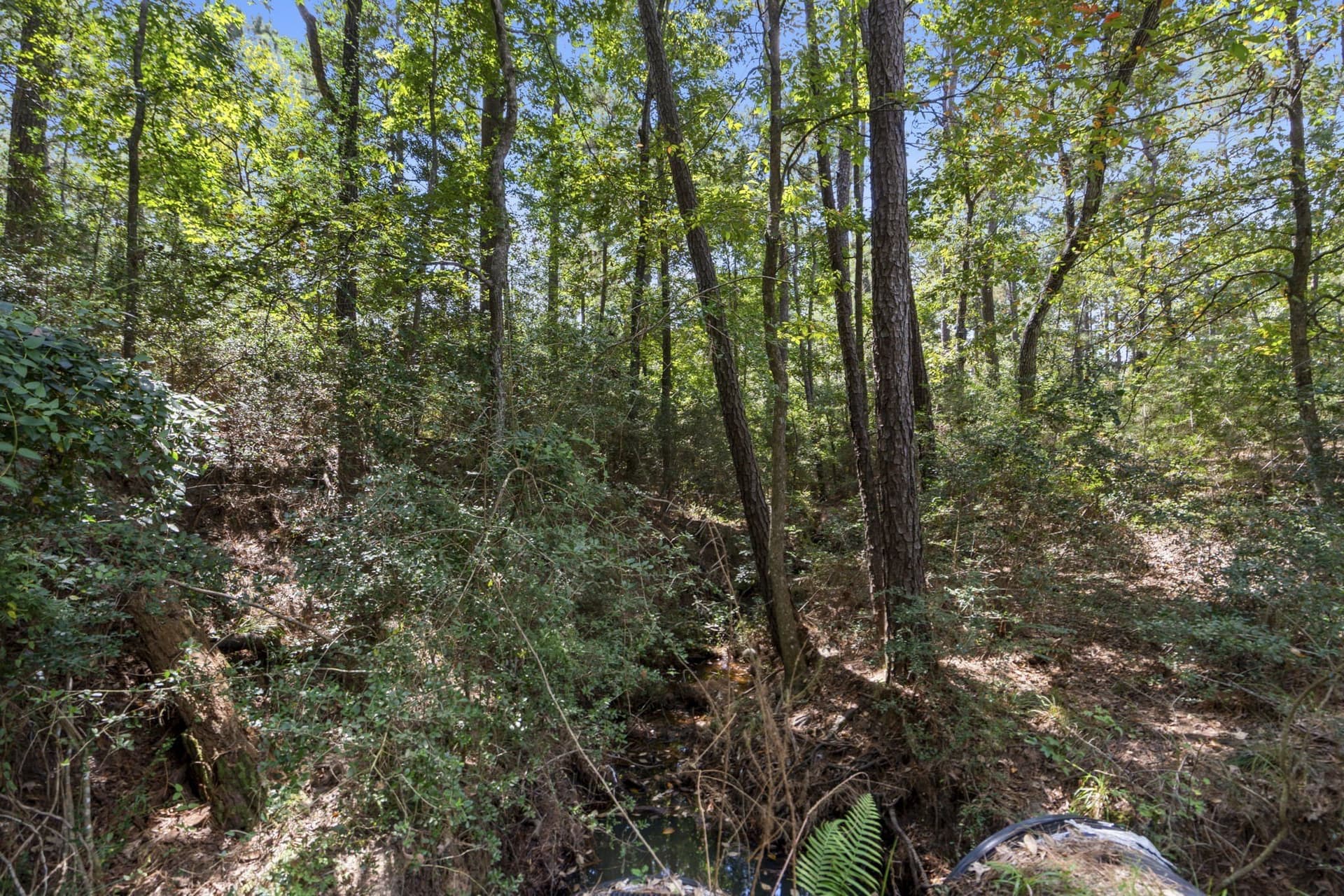 1.63 acres in Montgomery County - photo 14