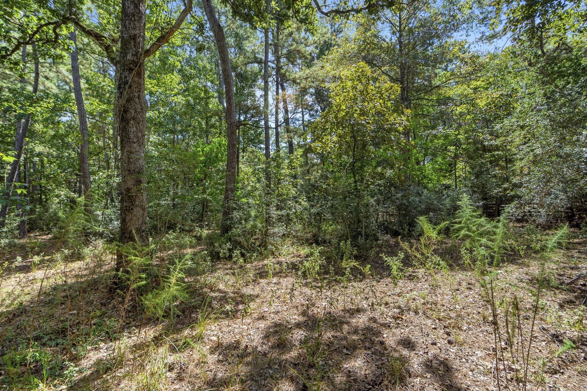 1.63 acres in Montgomery County - photo 12