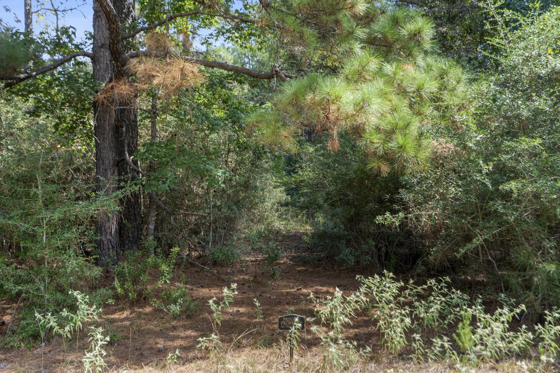 1.63 acres in Montgomery County - photo 11