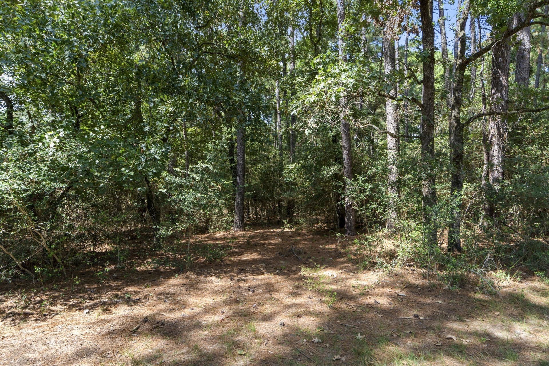 1.63 acres in Montgomery County - photo 19