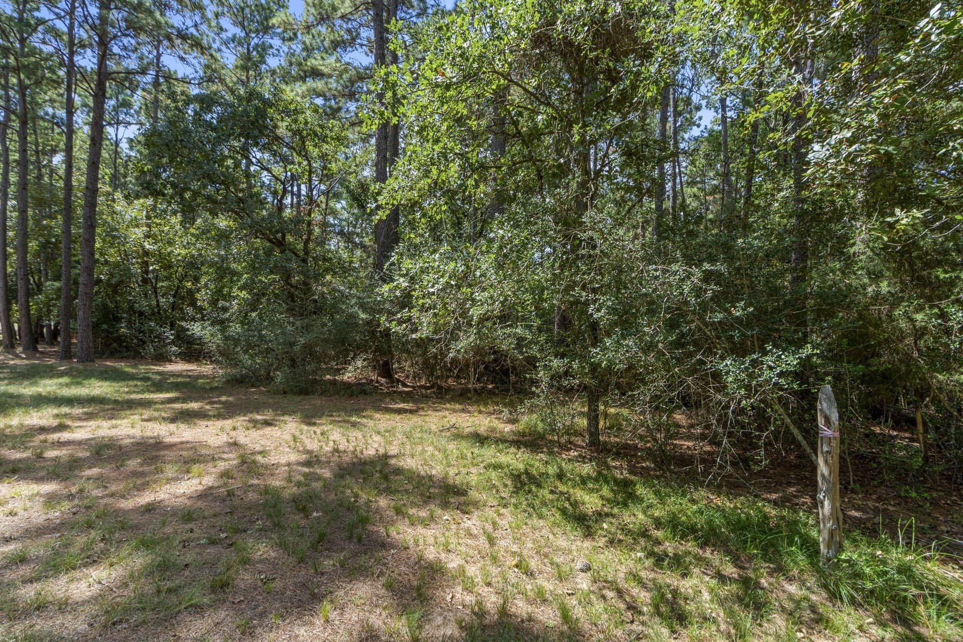 1.63 acres in Montgomery County - photo 17