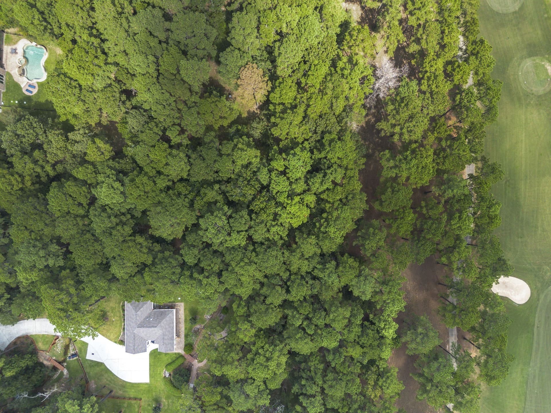 1.63 acres in Montgomery County - photo 9