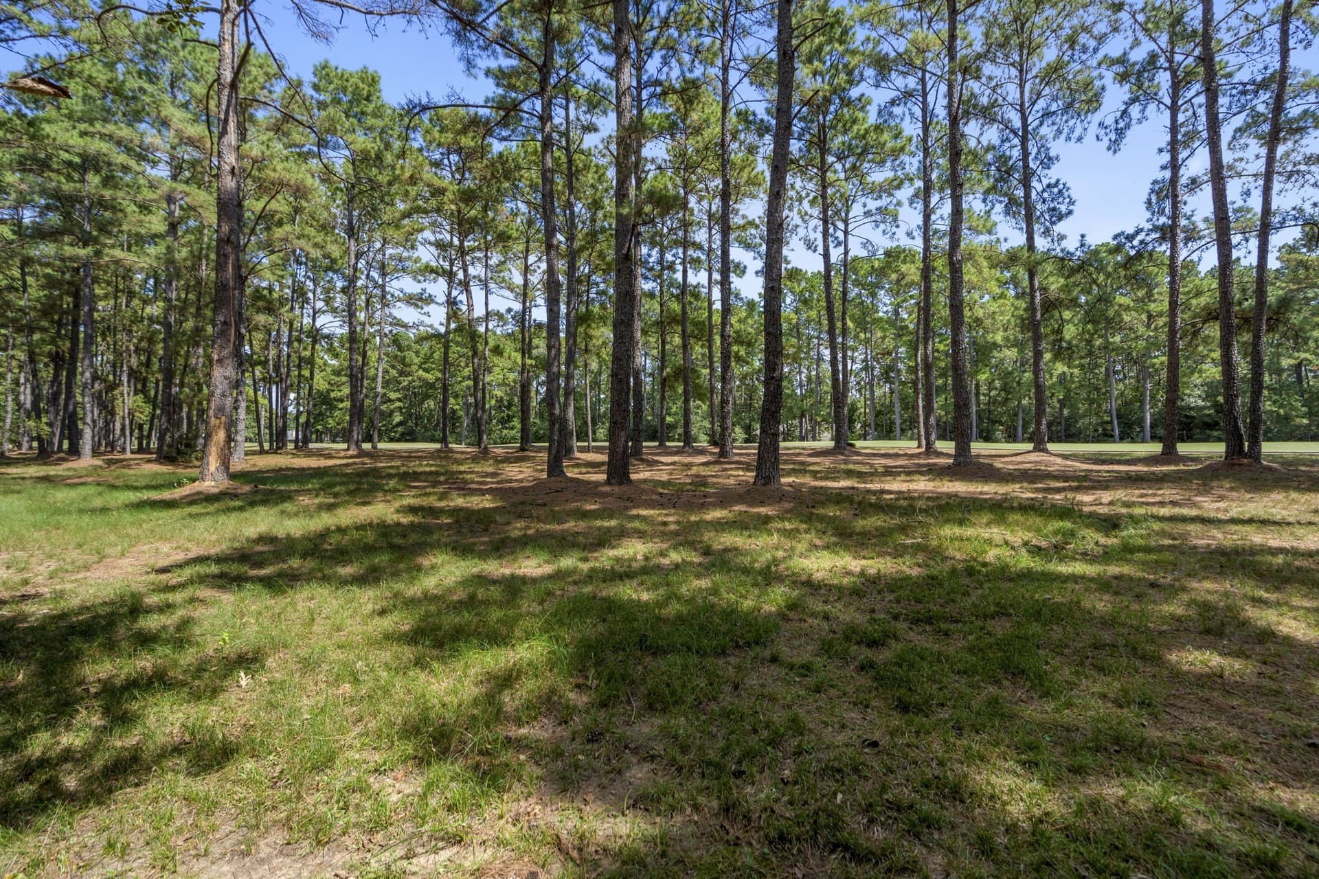 1.63 acres in Montgomery County - photo 16