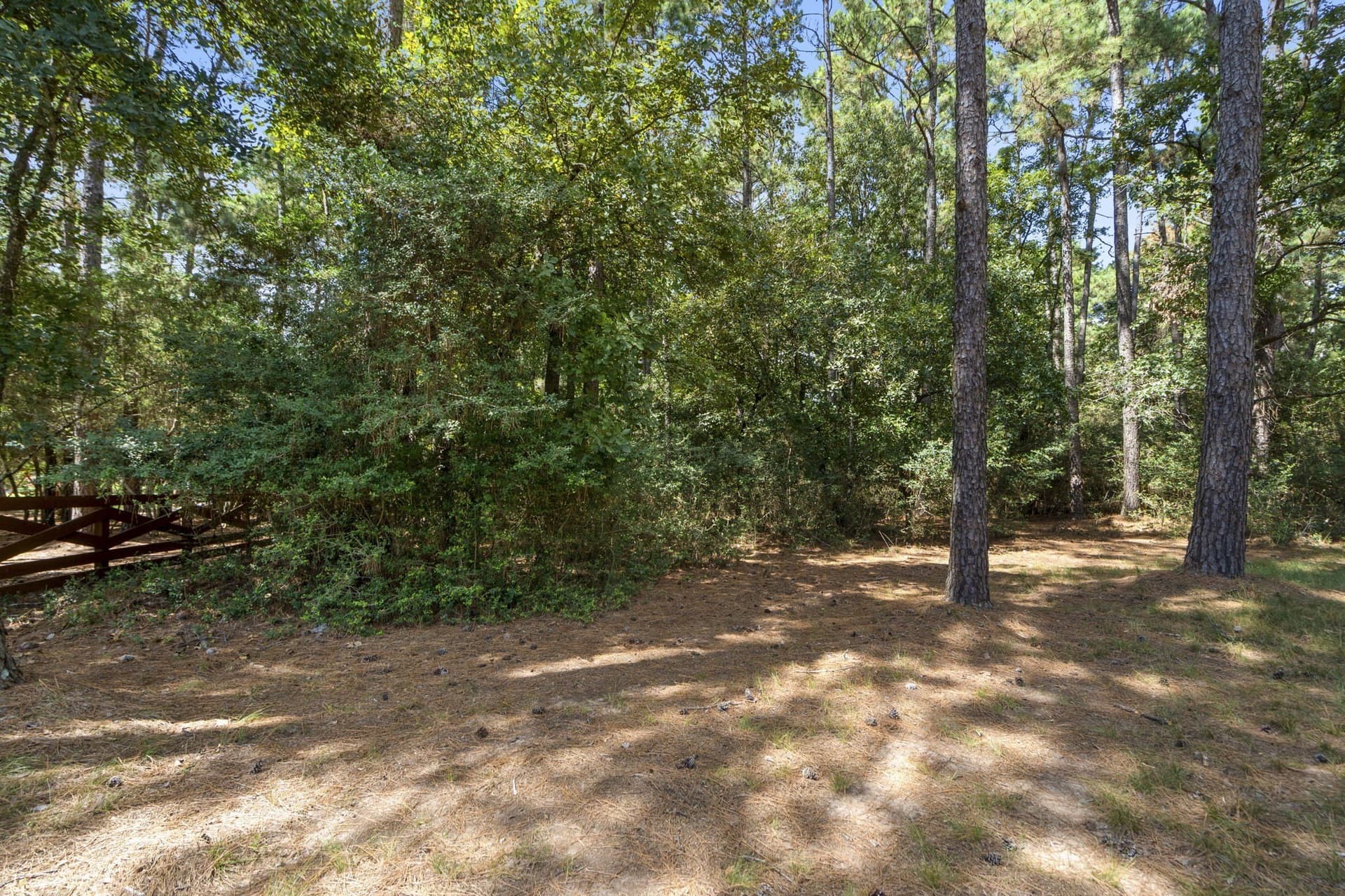 1.63 acres in Montgomery County - photo 18