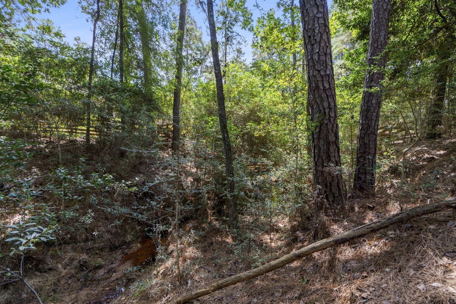 1.63 acres in Montgomery County - photo 13