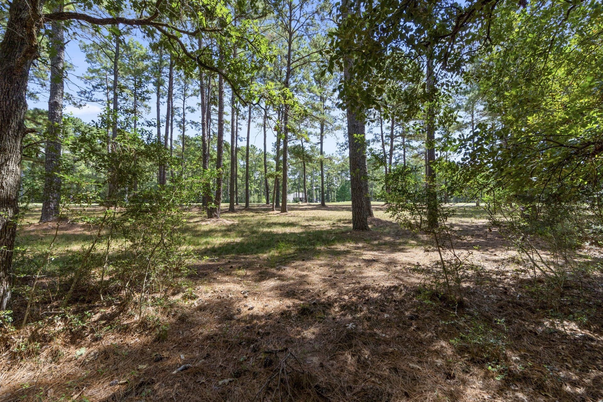 1.63 acres in Montgomery County - photo 15