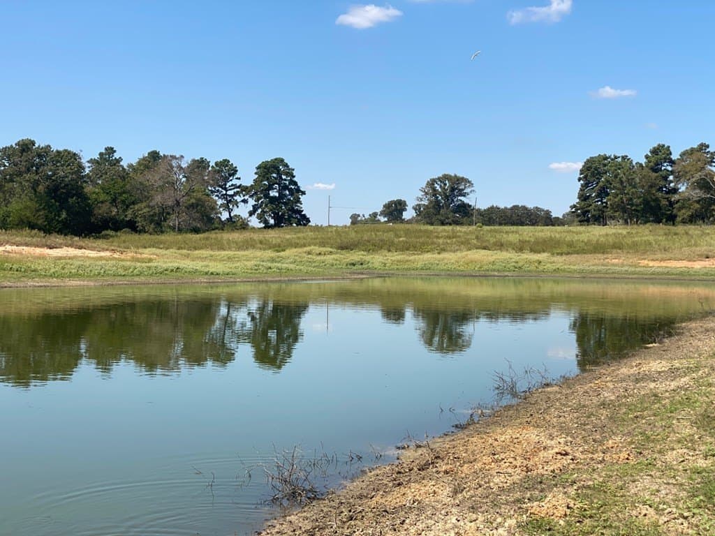 5.01 acres in Texas County - photo 14