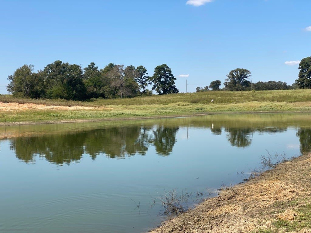 5.01 acres in Texas County - photo 16