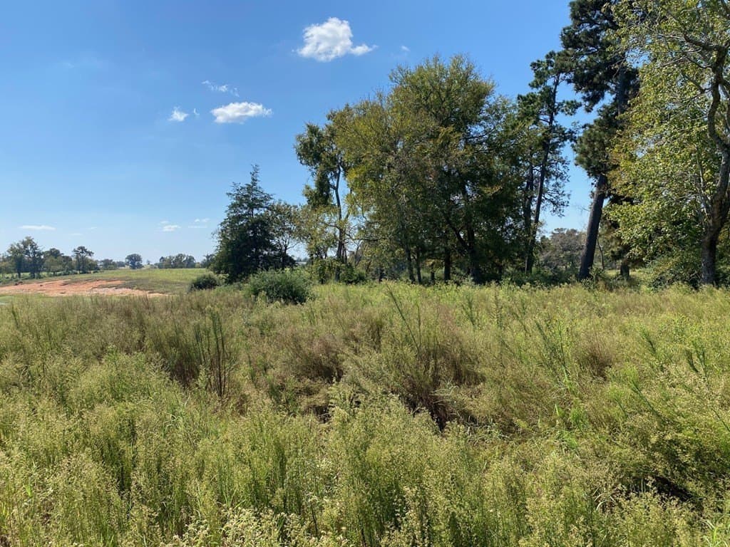 5.01 acres in Texas County - photo 9