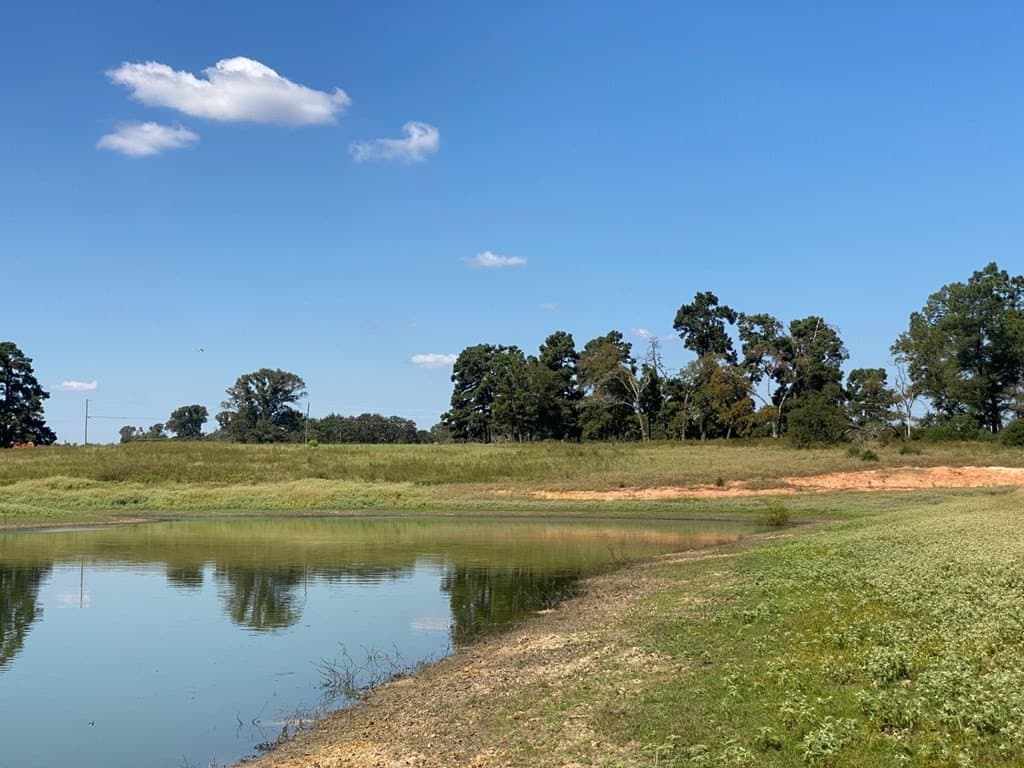 5.01 acres in Texas County - photo 15