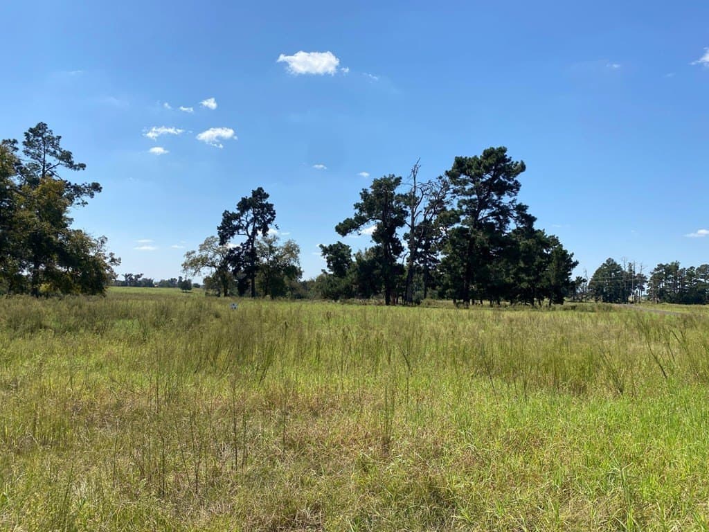 5.01 acres in Texas County - photo 8