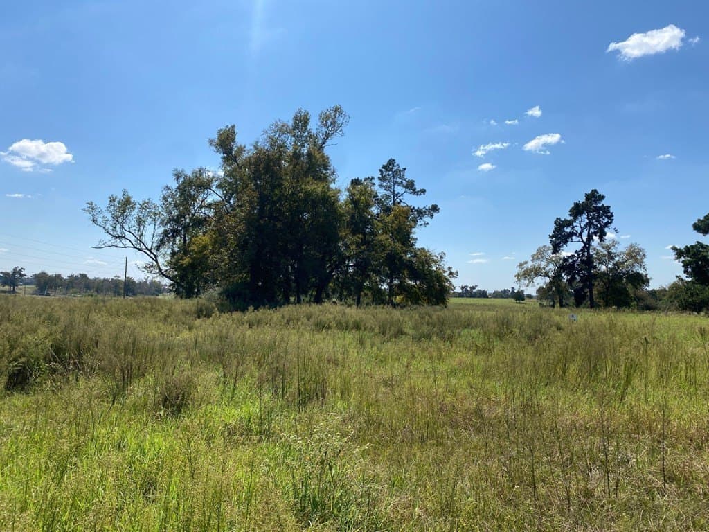 5.01 acres in Texas County - photo 7
