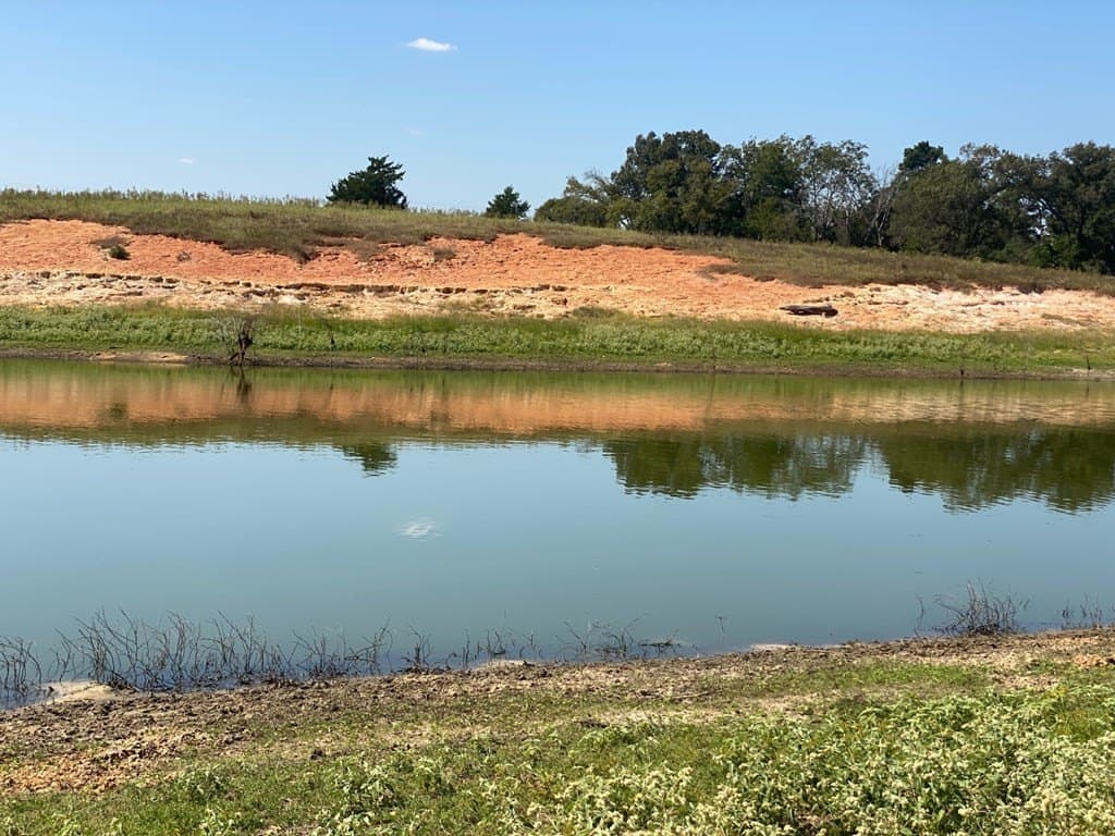 5.01 acres in Texas County - photo 13