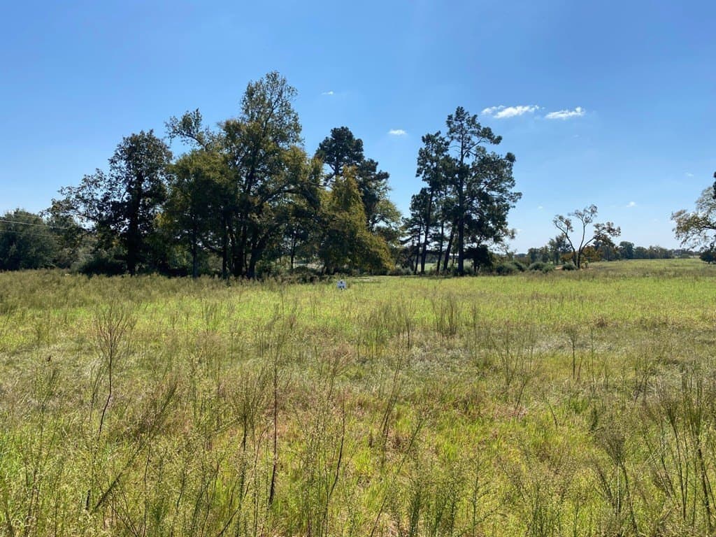 5.01 acres in Texas County - photo 6
