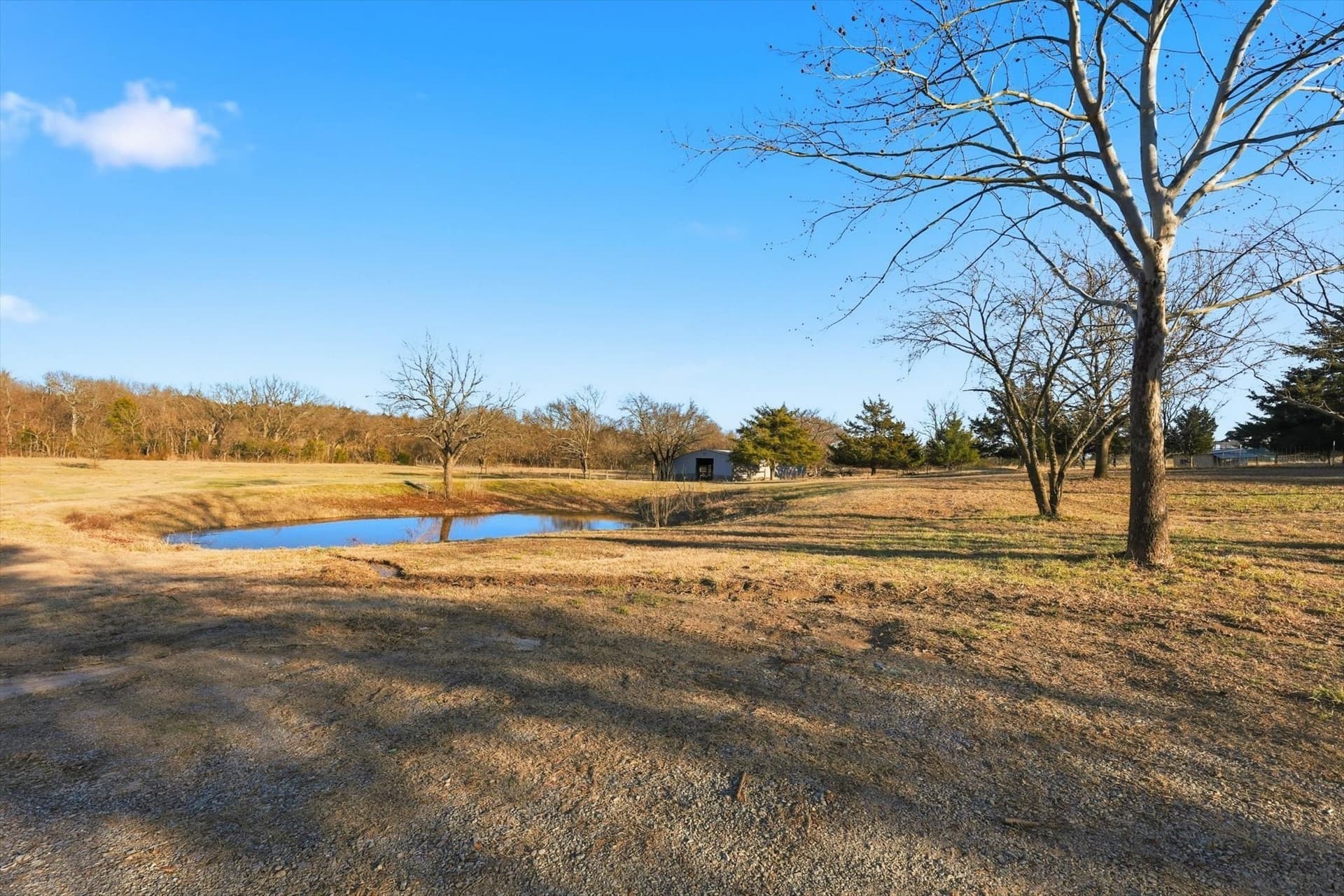15.95 acres in Grayson County gallery image 2