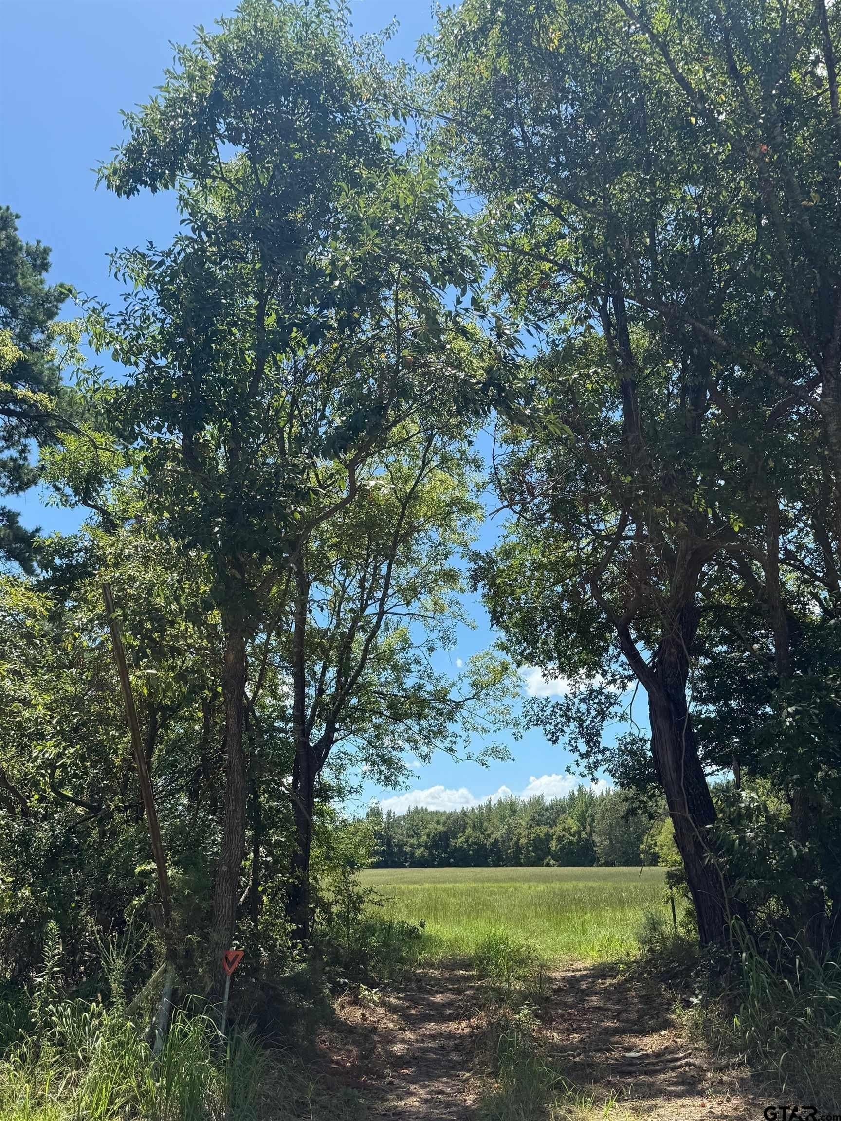 59.7 acres in Titus County - photo 4