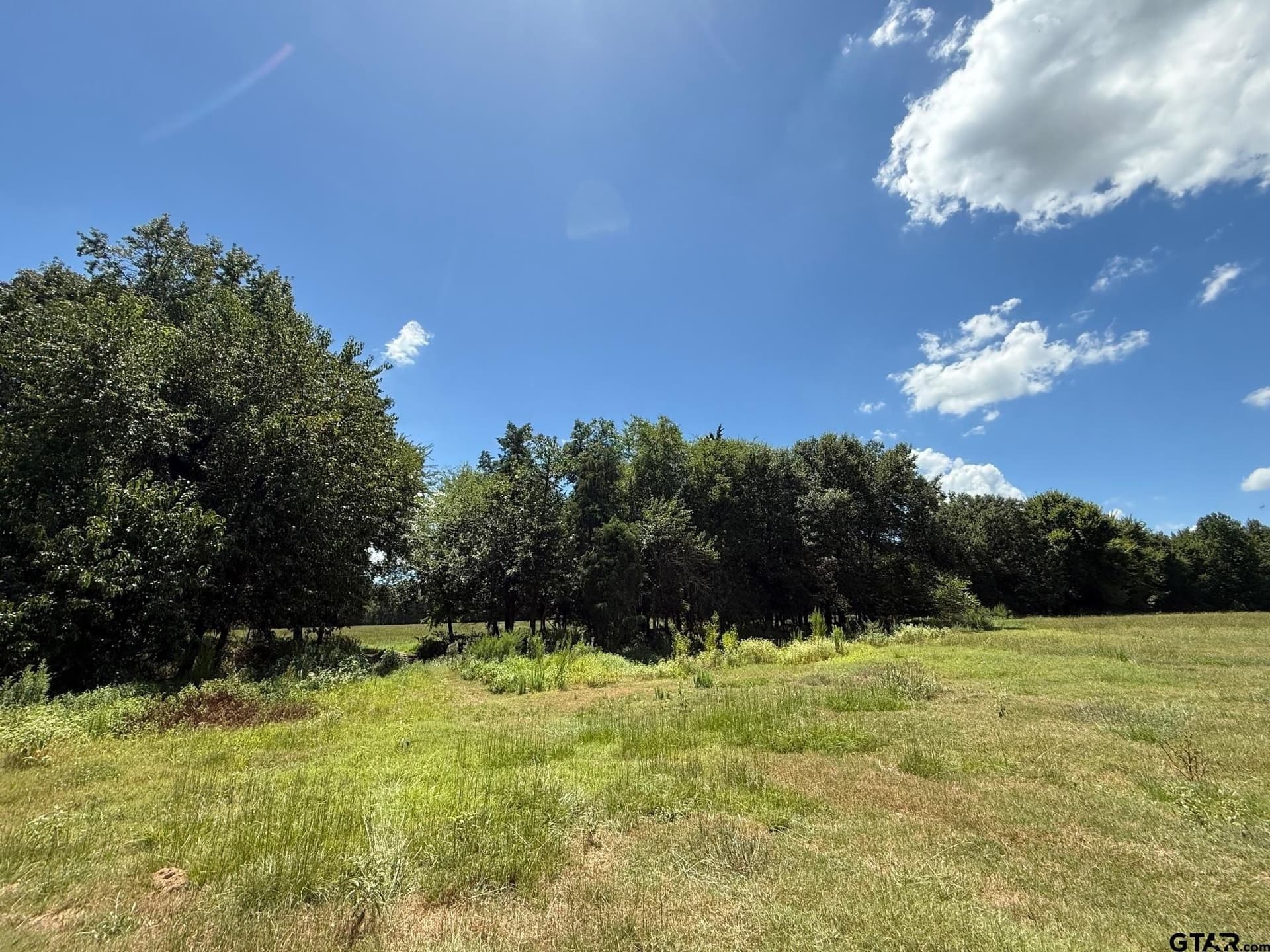 59.7 acres in Titus County - photo 2