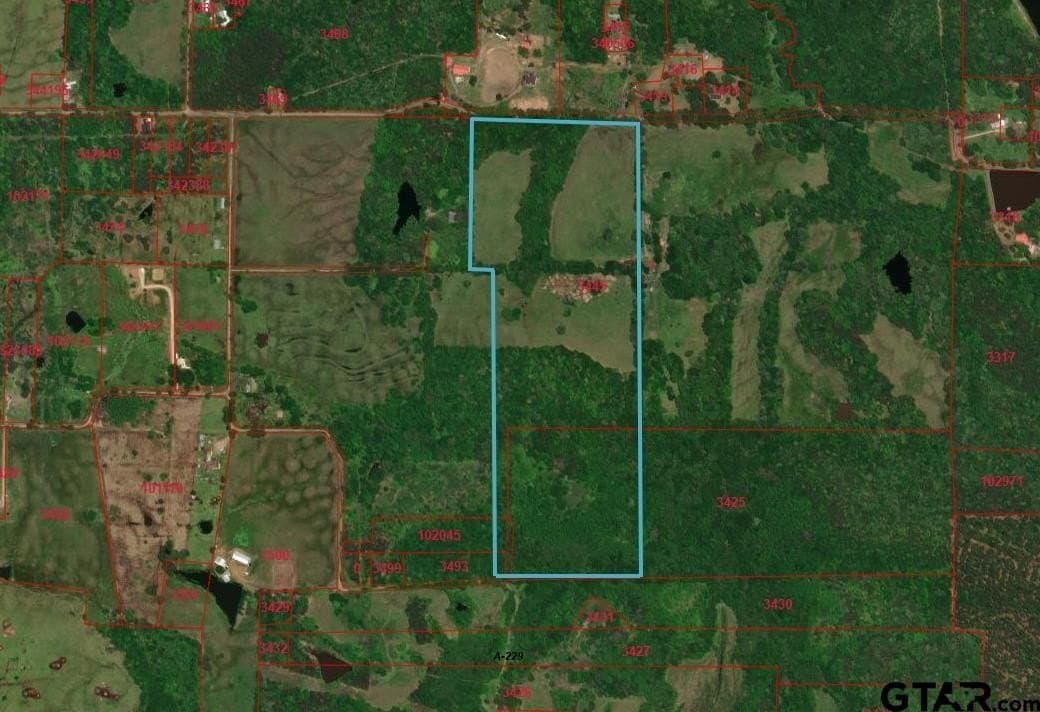 59.7 acres in Titus County - photo 6