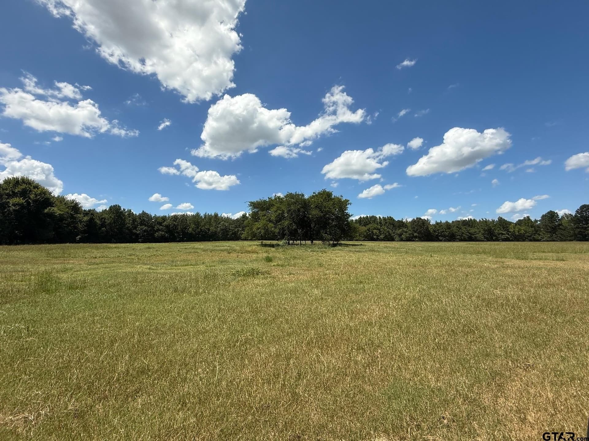 59.7 acres in Titus County - photo 3