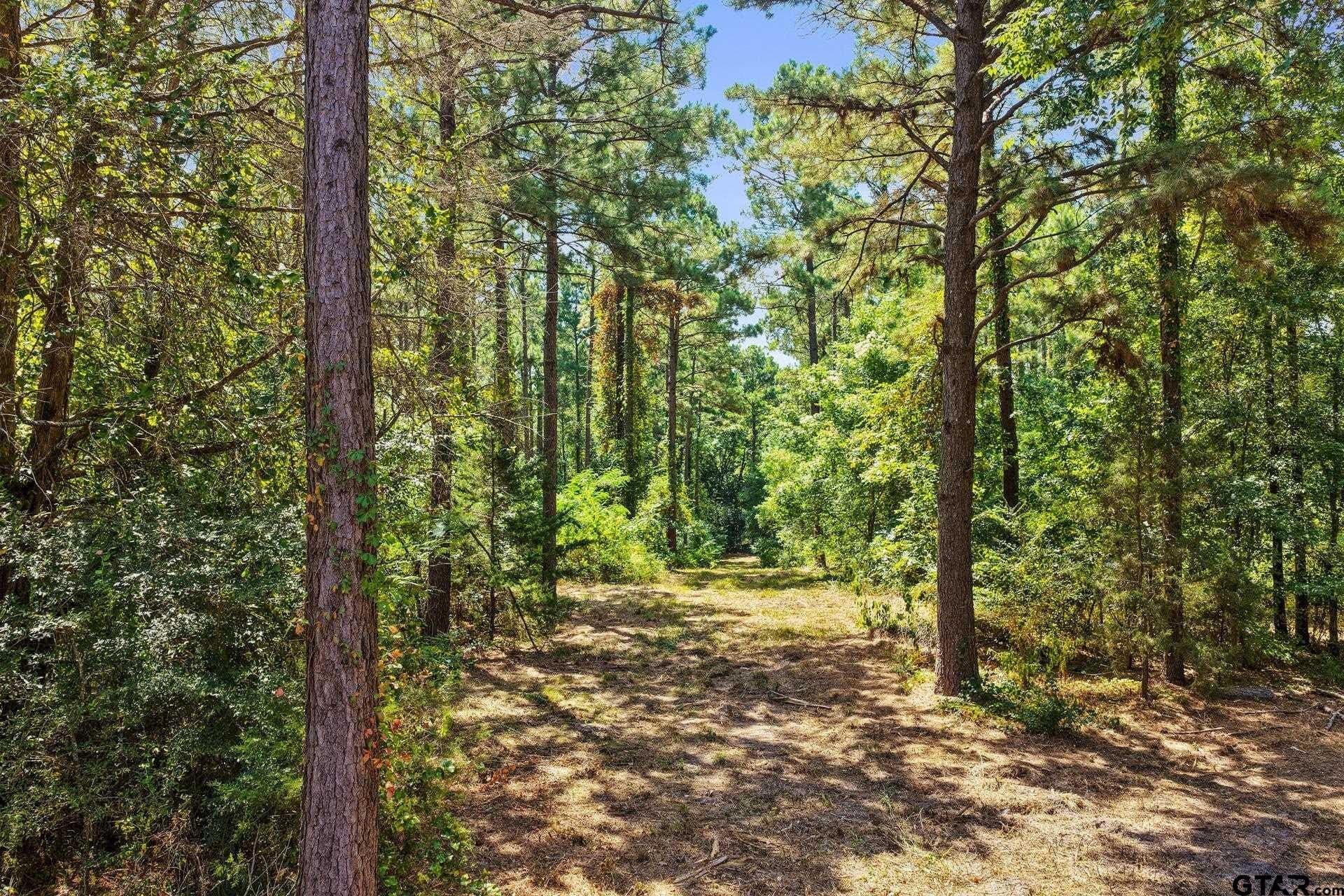 10.33 acres in Camp County - photo 13