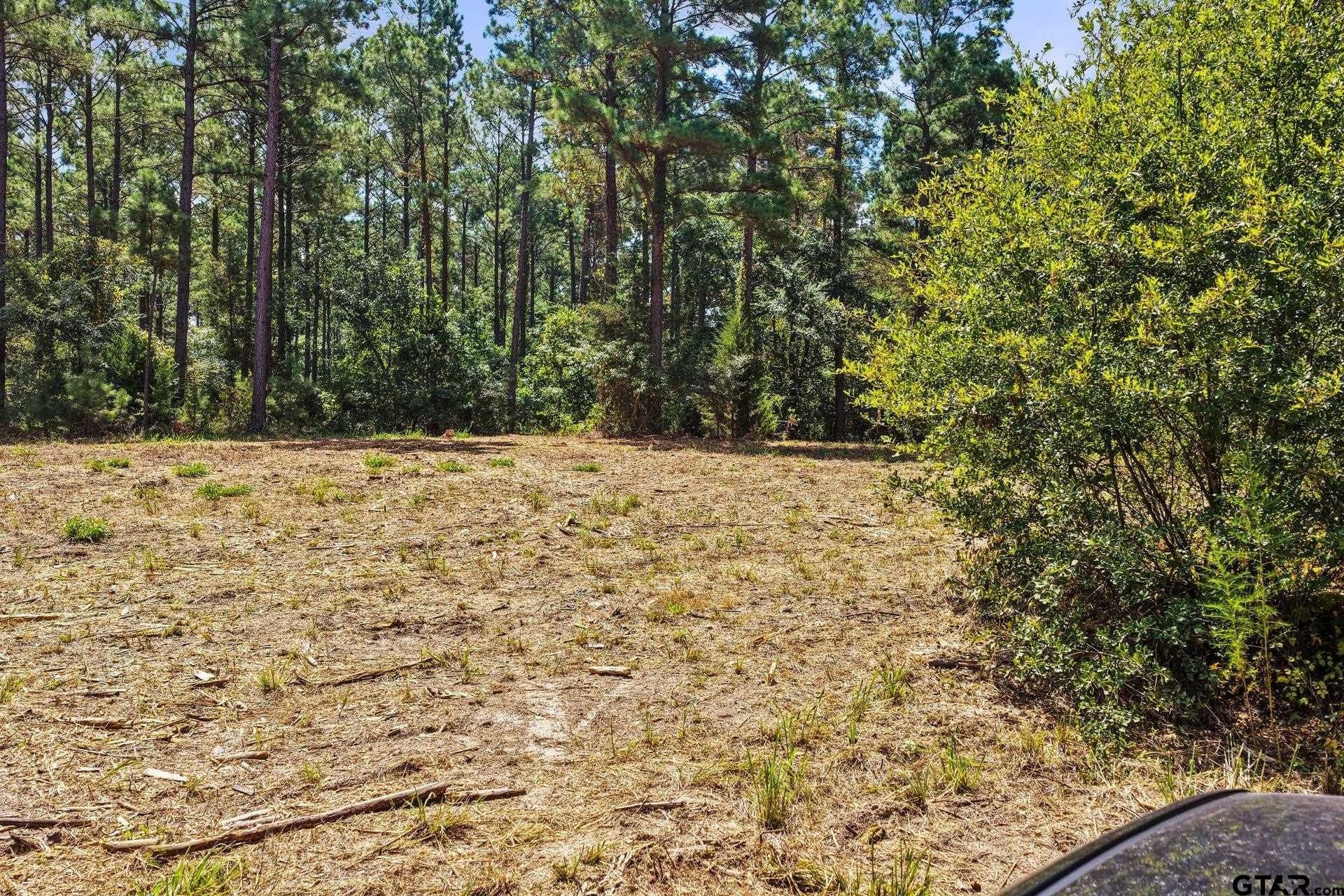 10.33 acres in Camp County - photo 23