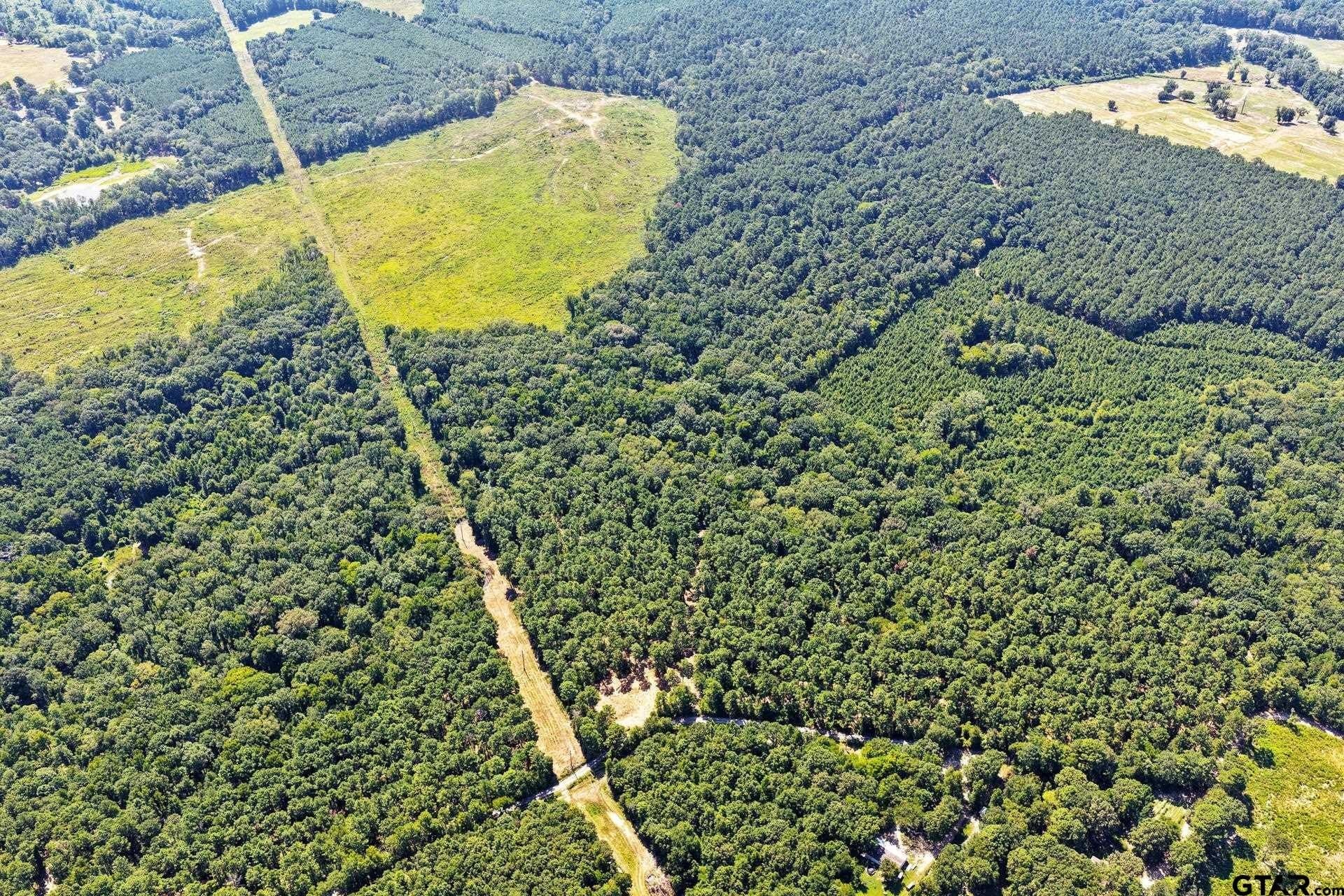 10.33 acres in Camp County - photo 4