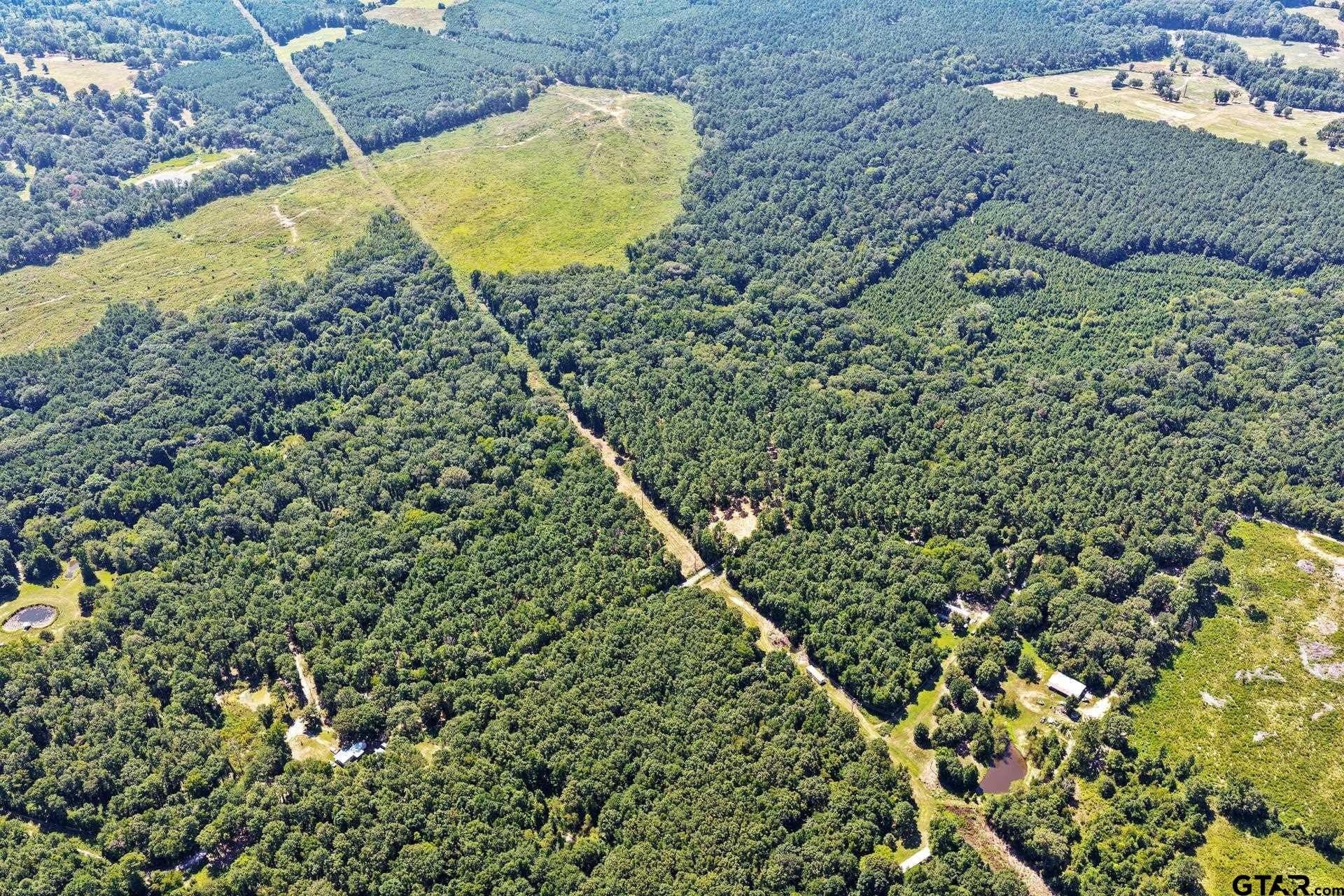10.33 acres in Camp County - photo 5