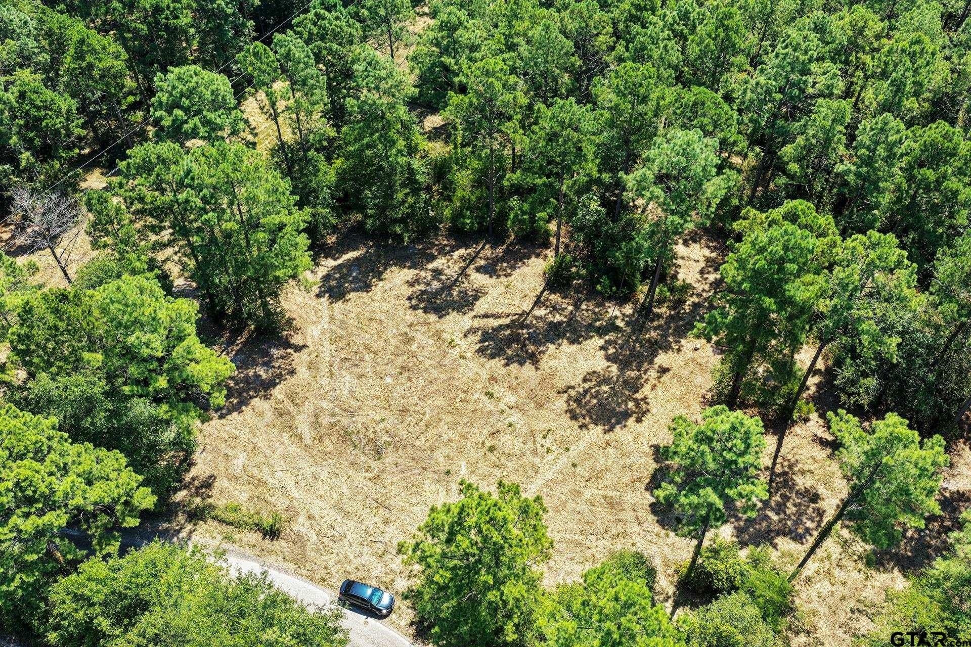 10.33 acres in Camp County - photo 7