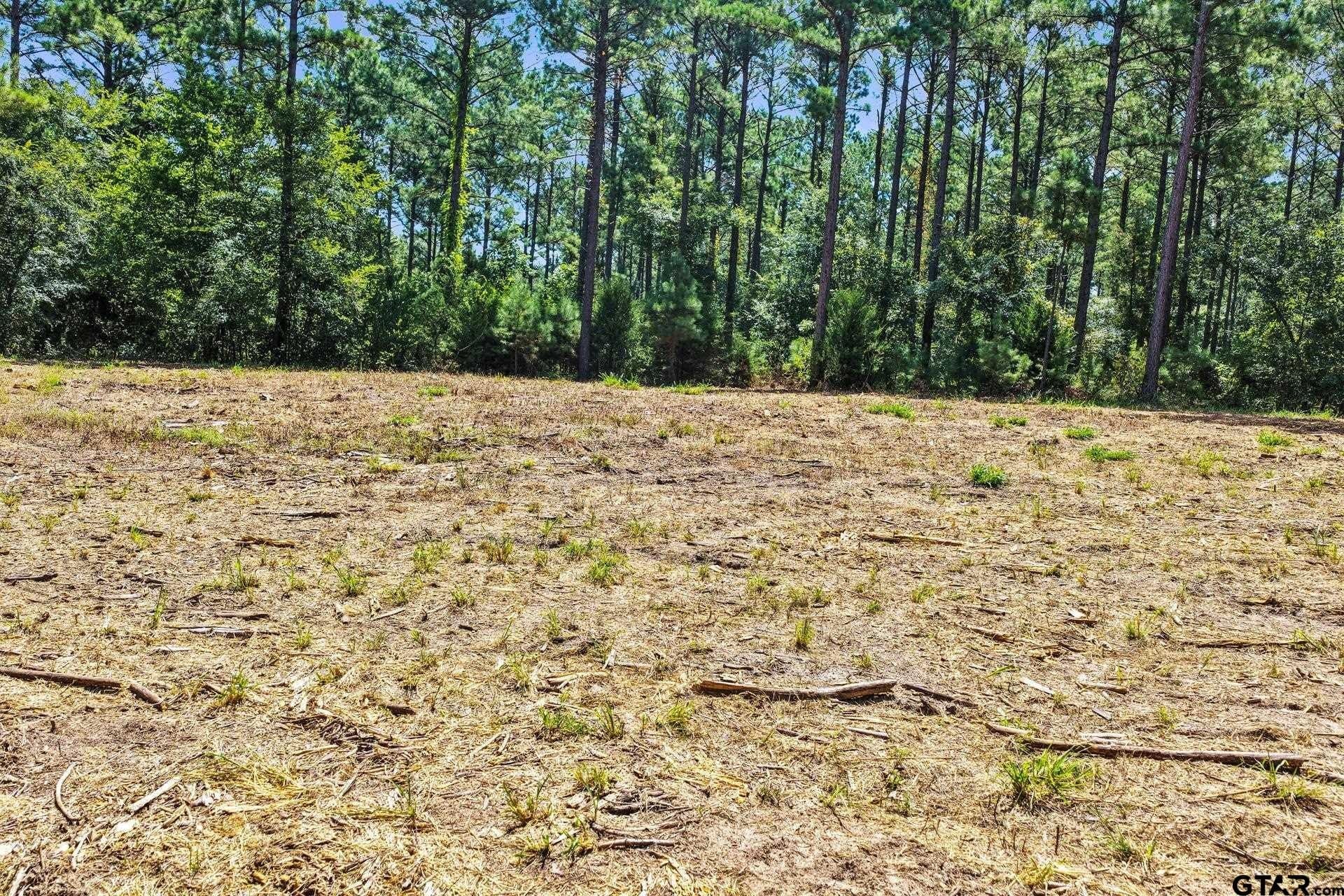 10.33 acres in Camp County - photo 22