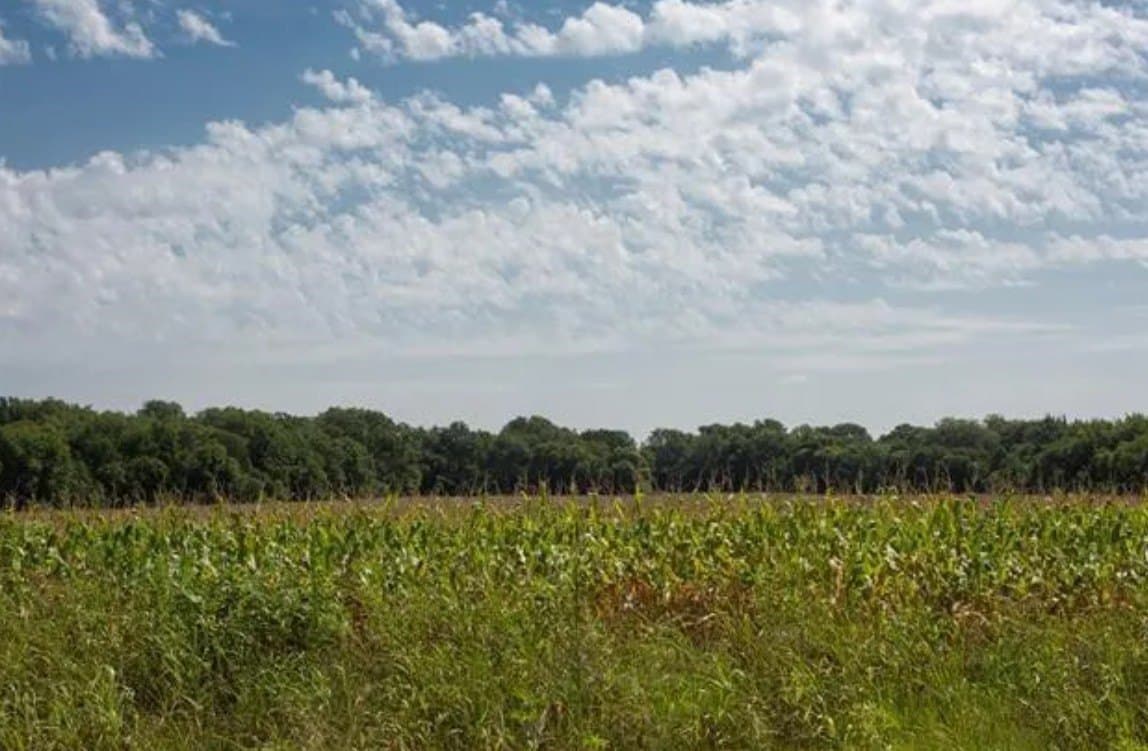 59.2 acres in Hill County - photo 6