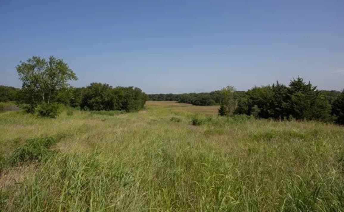 59.2 acres in Hill County - photo 5