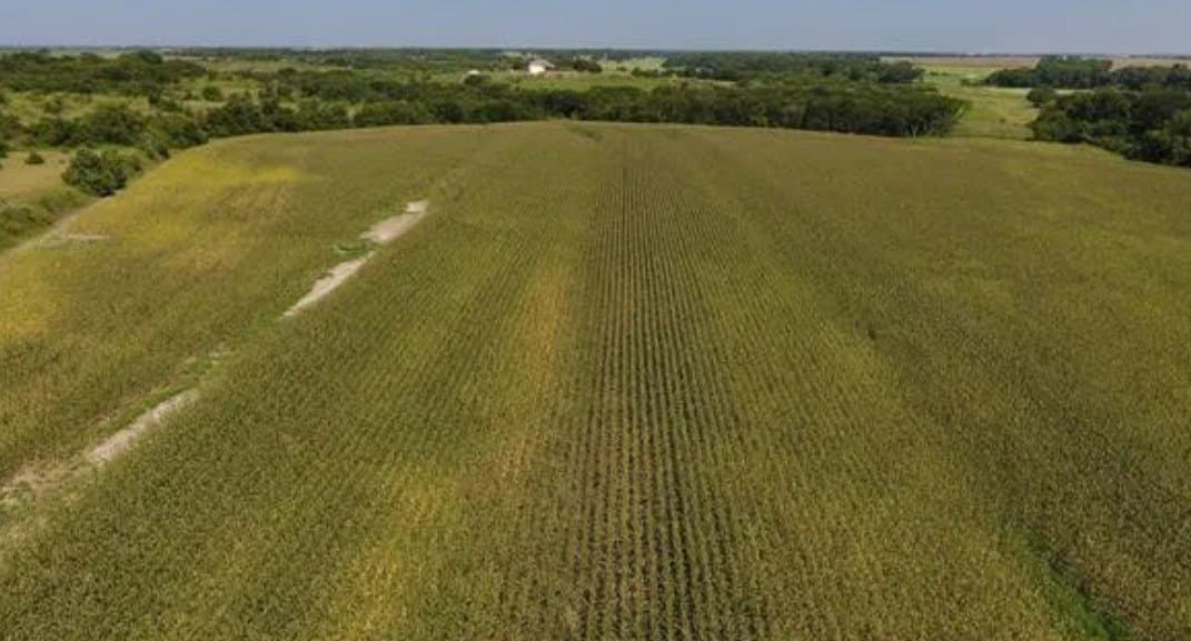 59.2 acres in Hill County - photo 11