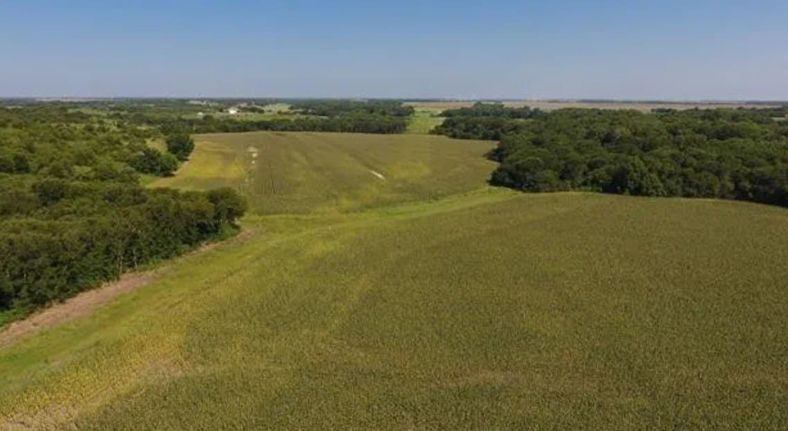 59.2 acres in Hill County - photo 9
