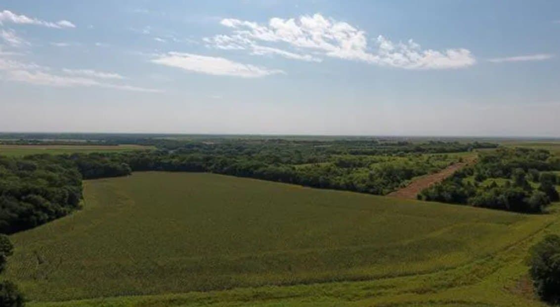 59.2 acres in Hill County - photo 13
