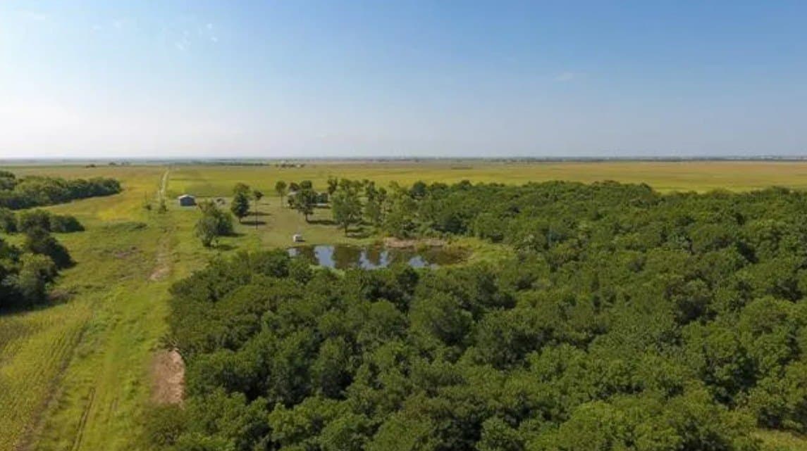 59.2 acres in Hill County - photo 14