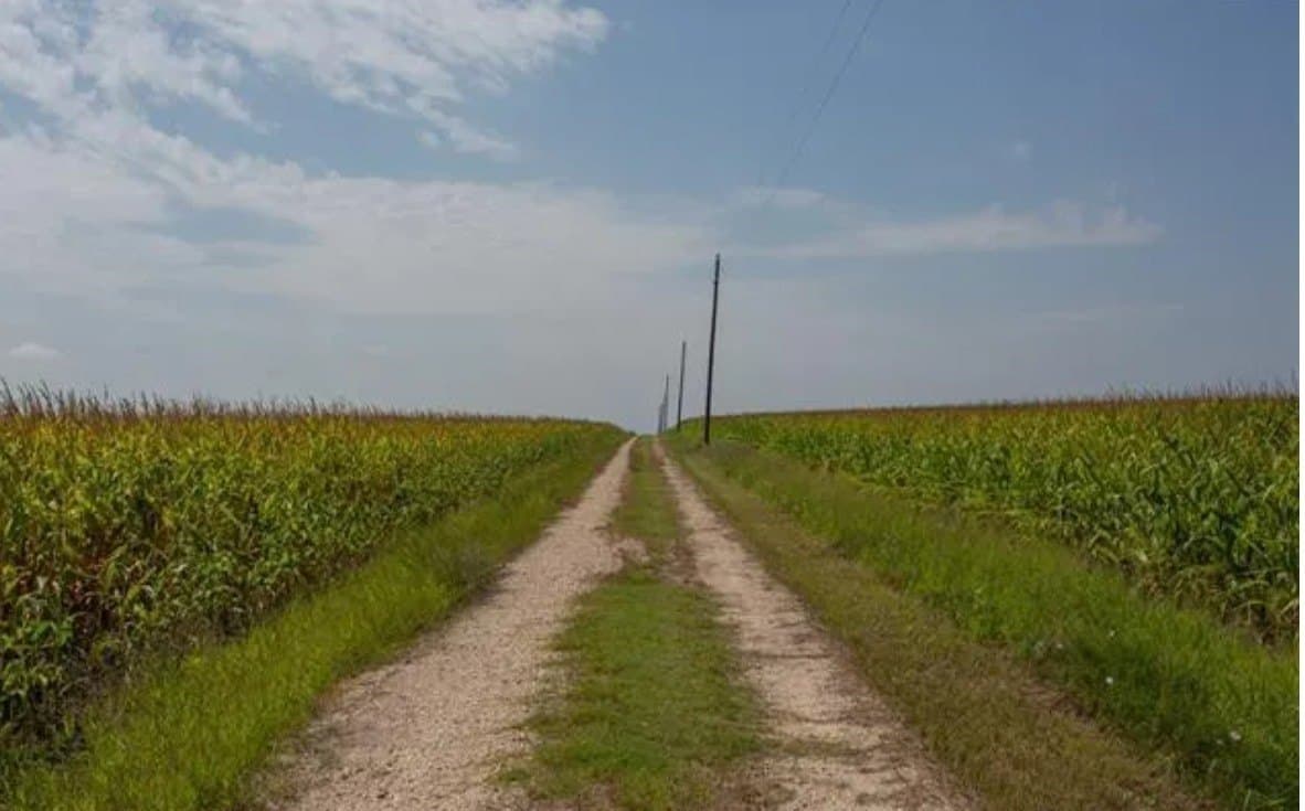 59.2 acres in Hill County - photo 22