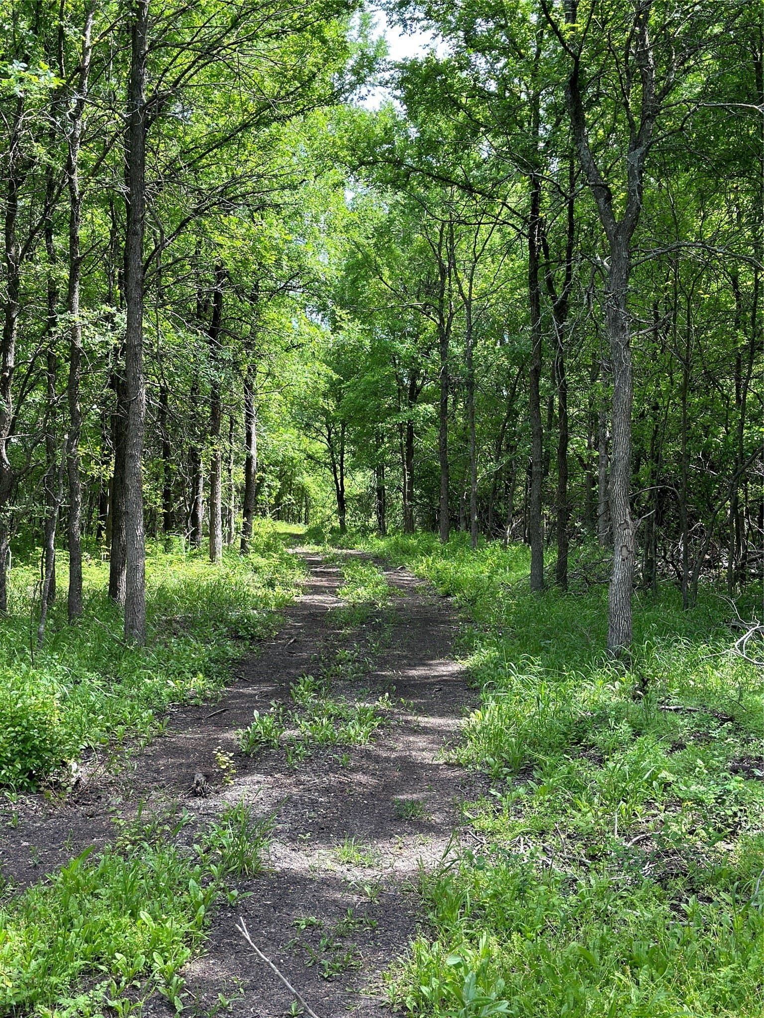 59.2 acres in Hill County - photo 28