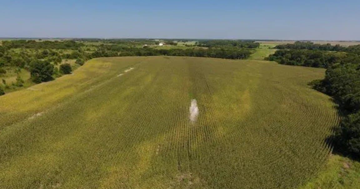 59.2 acres in Hill County - photo 10